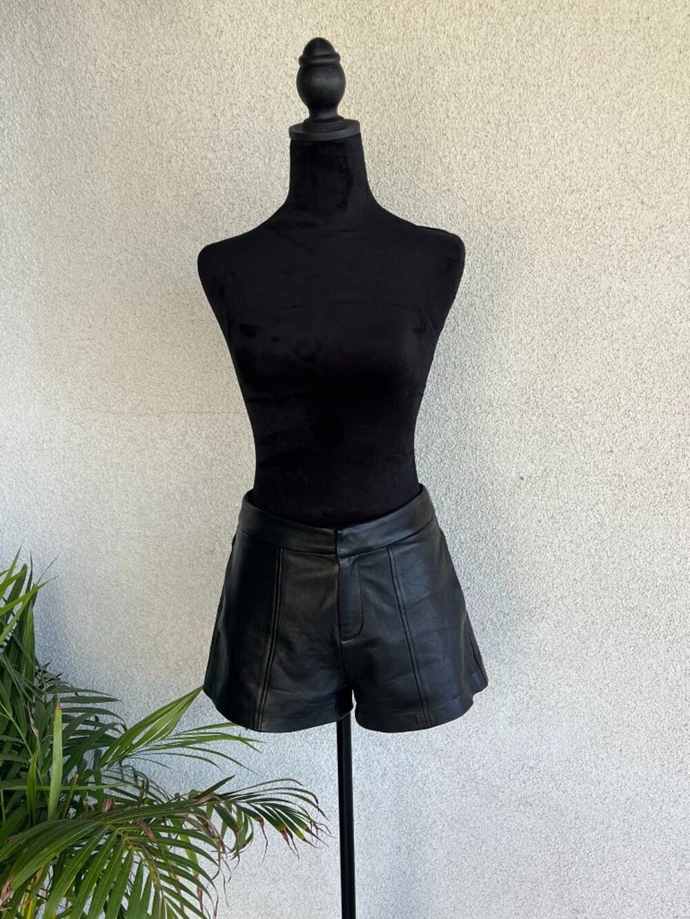 Leather Shorts